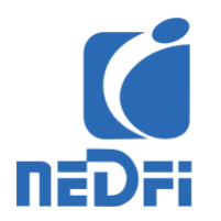 NeDFI